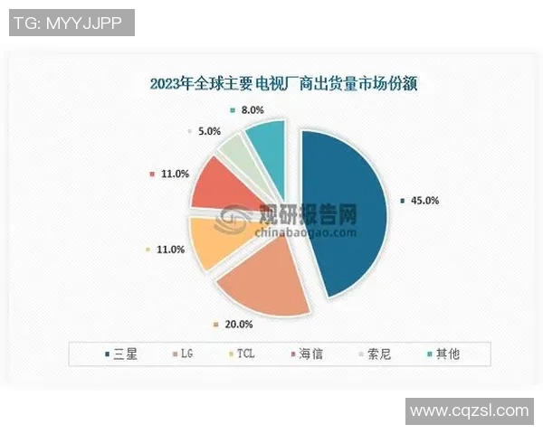 杭州排球队在钻石联赛中的节奏表现分析与未来展望 杭州排球队在钻石联赛中的节奏表现分析与未来展望
