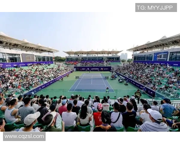 武汉网球队的节奏与风采聚焦网球运动的未来发展与挑战