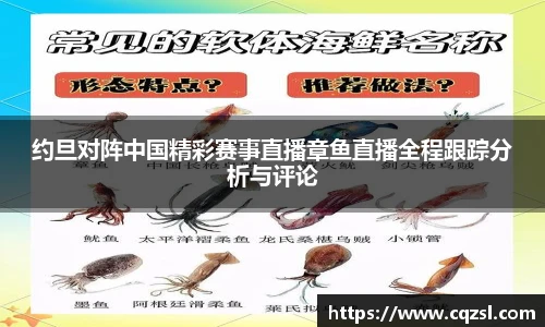 南宫NG28